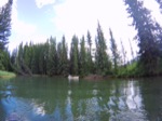 resIMG_20170713_164230_001.JPG